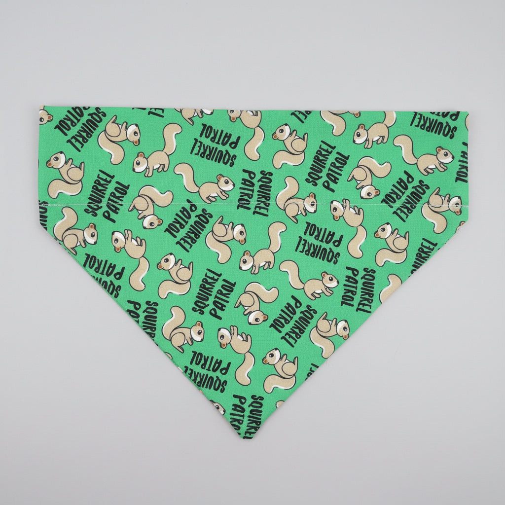 Squirrel patrol over the collar bandana